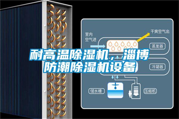 耐高溫除濕機(jī)，淄博防潮除濕機(jī)設(shè)備
