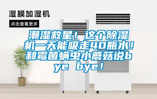潮濕救星！這個(gè)除濕機(jī)一天能吸走40瓶水！和霉菌螨蟲(chóng)小蘑菇說(shuō)bye bye！