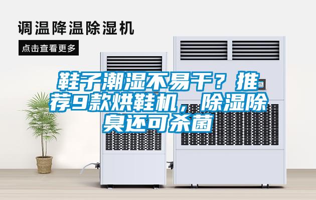 鞋子潮濕不易干？推薦9款烘鞋機，除濕除臭還可殺菌
