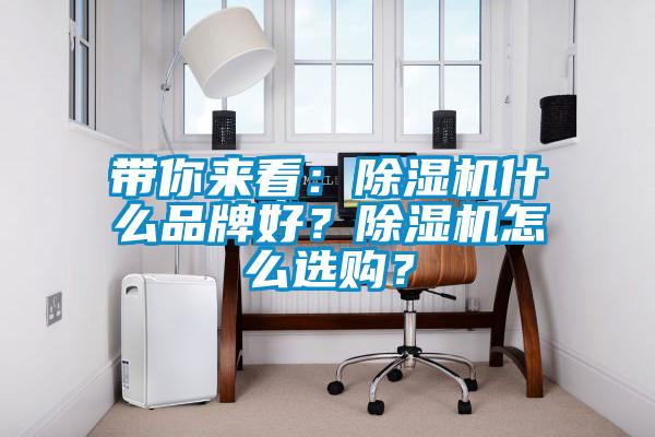 帶你來(lái)看：除濕機(jī)什么品牌好？除濕機(jī)怎么選購(gòu)？