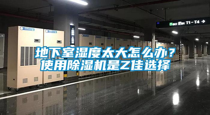 地下室濕度太大怎么辦？使用除濕機(jī)是Z佳選擇
