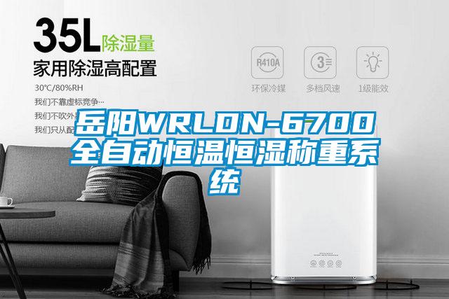 岳陽(yáng)WRLDN-6700全自動(dòng)恒溫恒濕稱重系統(tǒng)