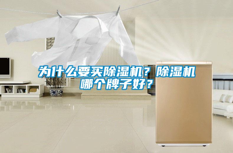 為什么要買除濕機？除濕機哪個牌子好？