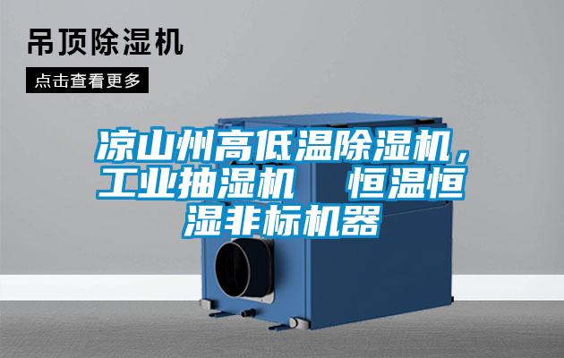 涼山州高低溫除濕機(jī)，工業(yè)抽濕機(jī)  恒溫恒濕非標(biāo)機(jī)器