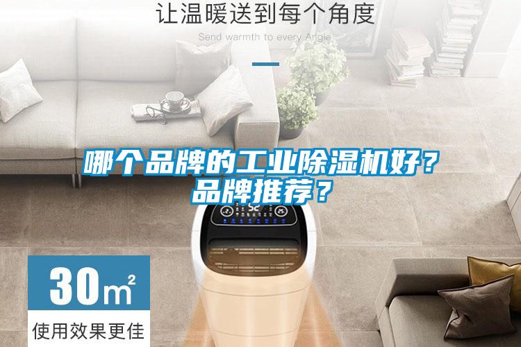 哪個品牌的工業(yè)除濕機好？品牌推薦？