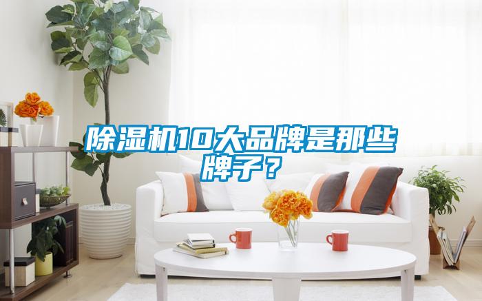 除濕機10大品牌是那些牌子？