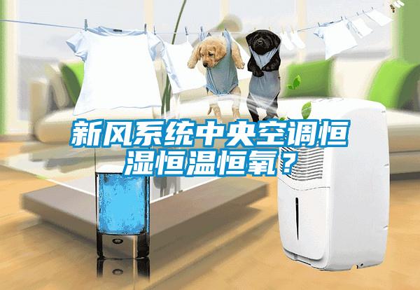 新風(fēng)系統(tǒng)中央空調(diào)恒濕恒溫恒氧？