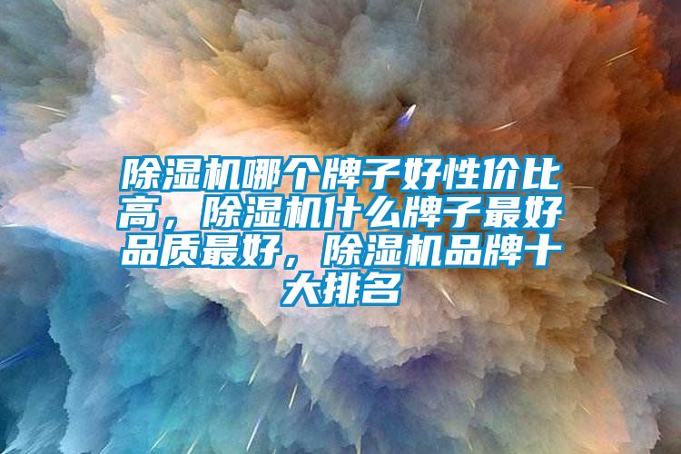 除濕機(jī)哪個牌子好性價比高，除濕機(jī)什么牌子最好品質(zhì)最好，除濕機(jī)品牌十大排名