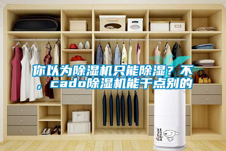 你以為除濕機(jī)只能除濕？不，cado除濕機(jī)能干點別的