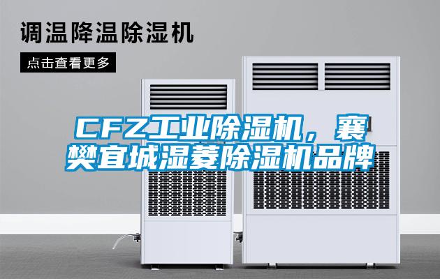 CFZ工業(yè)除濕機，襄樊宜城濕菱除濕機品牌