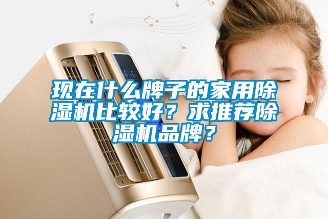 現(xiàn)在什么牌子的家用除濕機比較好？求推薦除濕機品牌？