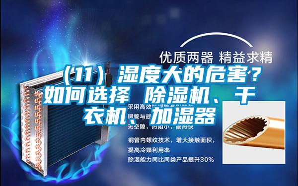 （11）濕度大的危害？如何選擇 除濕機(jī)、干衣機(jī)、加濕器