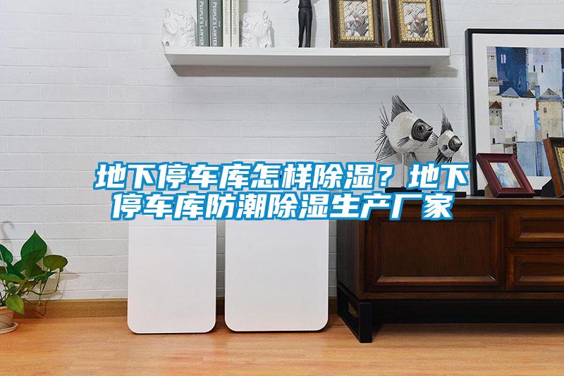 地下停車庫怎樣除濕？地下停車庫防潮除濕生產(chǎn)廠家