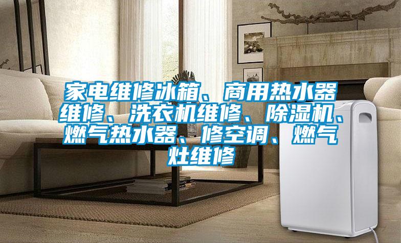 家電維修冰箱、商用熱水器維修、洗衣機維修、除濕機、燃氣熱水器、修空調、燃氣灶維修