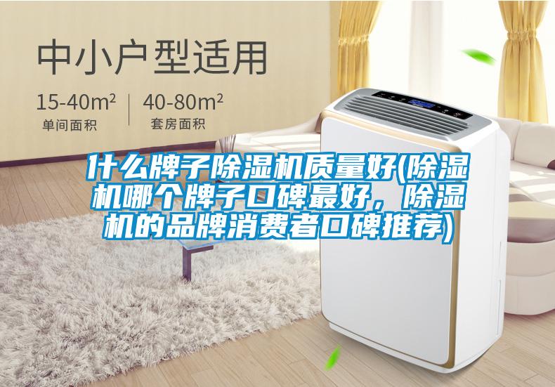 什么牌子除濕機(jī)質(zhì)量好(除濕機(jī)哪個(gè)牌子口碑最好，除濕機(jī)的品牌消費(fèi)者口碑推薦)