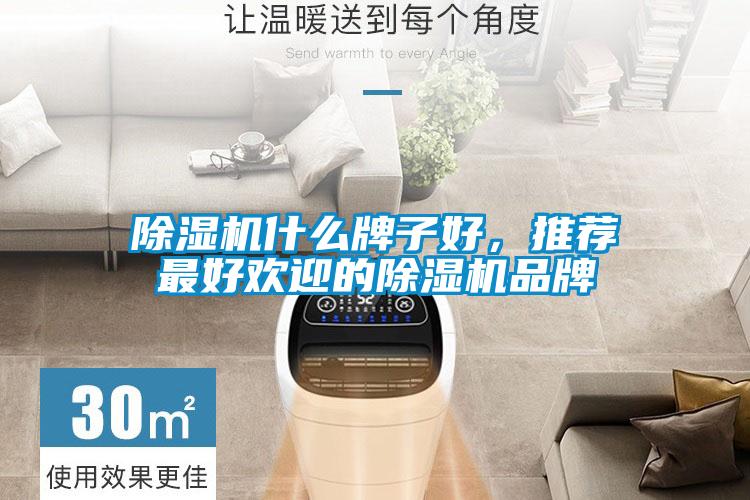 除濕機(jī)什么牌子好，推薦最好歡迎的除濕機(jī)品牌