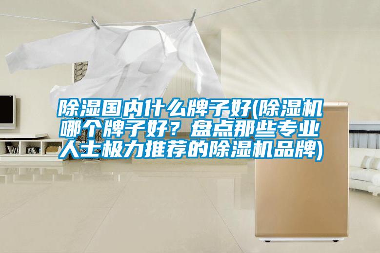 除濕國內(nèi)什么牌子好(除濕機(jī)哪個牌子好？盤點(diǎn)那些專業(yè)人士極力推薦的除濕機(jī)品牌)