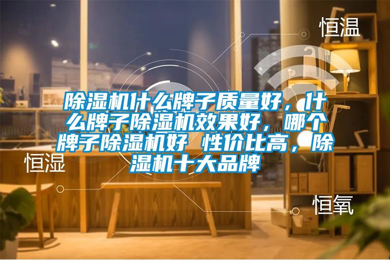 除濕機(jī)什么牌子質(zhì)量好，什么牌子除濕機(jī)效果好，哪個牌子除濕機(jī)好 性價比高，除濕機(jī)十大品牌