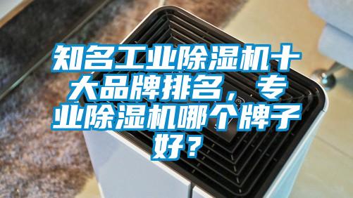 知名工業(yè)除濕機十大品牌排名，專業(yè)除濕機哪個牌子好？