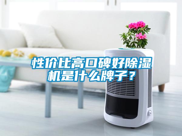 性價(jià)比高口碑好除濕機(jī)是什么牌子？