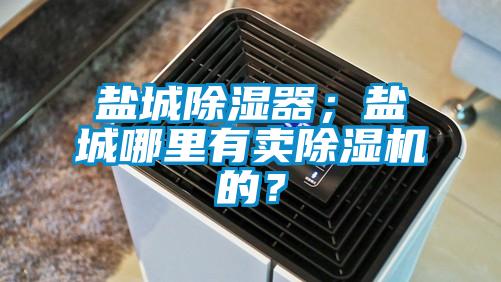 鹽城除濕器；鹽城哪里有賣除濕機(jī)的？