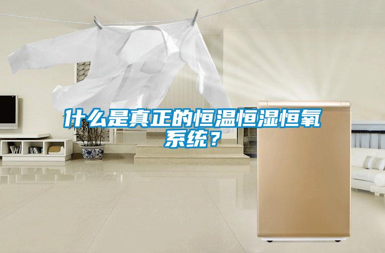 什么是真正的恒溫恒濕恒氧系統(tǒng)？