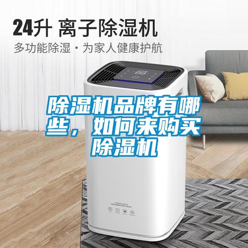 除濕機(jī)品牌有哪些，如何來(lái)購(gòu)買(mǎi)除濕機(jī)