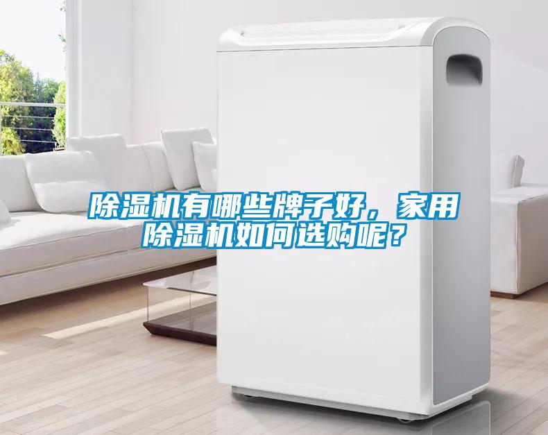 除濕機有哪些牌子好，家用除濕機如何選購呢？