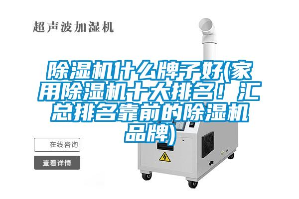 除濕機什么牌子好(家用除濕機十大排名！匯總排名靠前的除濕機品牌)