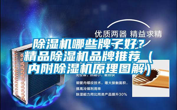 除濕機哪些牌子好？精品除濕機品牌推薦（內(nèi)附除濕機原理圖解）