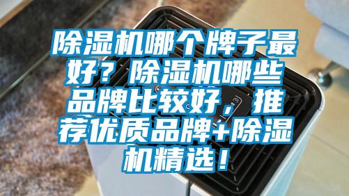 除濕機(jī)哪個(gè)牌子最好？除濕機(jī)哪些品牌比較好，推薦優(yōu)質(zhì)品牌+除濕機(jī)精選！