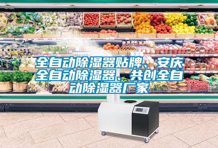 全自動(dòng)除濕器貼牌、安慶全自動(dòng)除濕器、共創(chuàng)全自動(dòng)除濕器廠家