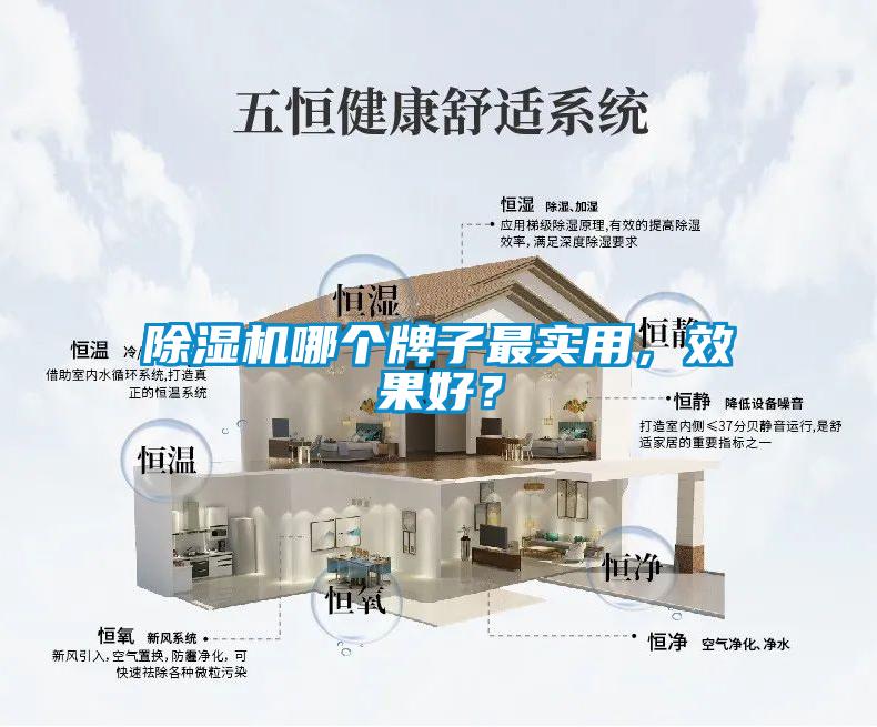 除濕機(jī)哪個牌子最實用，效果好？