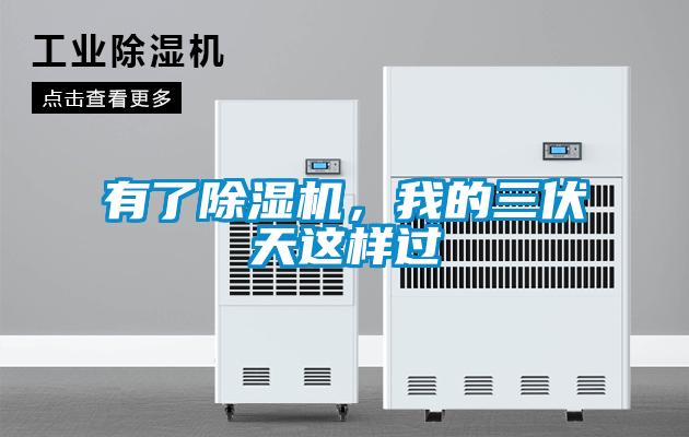 有了除濕機(jī)，我的三伏天這樣過(guò)
