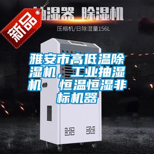 雅安市高低溫除濕機，工業(yè)抽濕機  恒溫恒濕非標機器