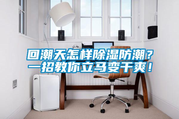 回潮天怎樣除濕防潮？一招教你立馬變干爽！