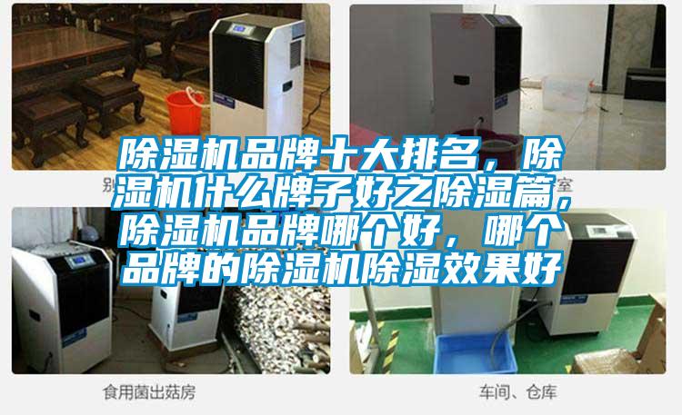 除濕機(jī)品牌十大排名，除濕機(jī)什么牌子好之除濕篇，除濕機(jī)品牌哪個(gè)好，哪個(gè)品牌的除濕機(jī)除濕效果好
