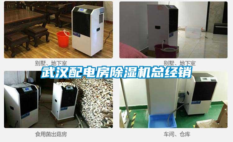 武漢配電房除濕機總經(jīng)銷