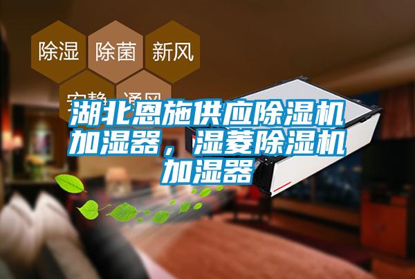 湖北恩施供應(yīng)除濕機(jī)加濕器，濕菱除濕機(jī)加濕器