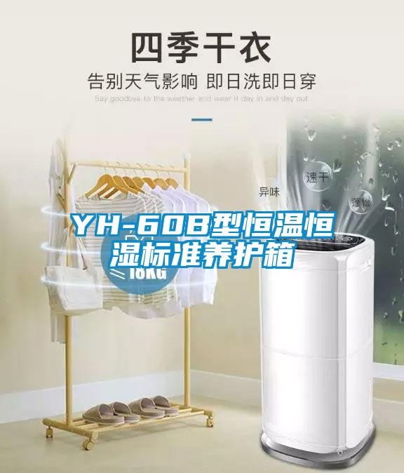 YH-60B型恒溫恒濕標準養(yǎng)護箱