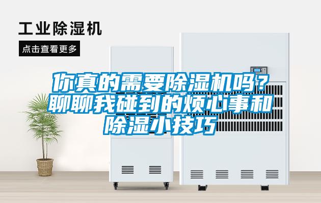 你真的需要除濕機嗎？聊聊我碰到的煩心事和除濕小技巧