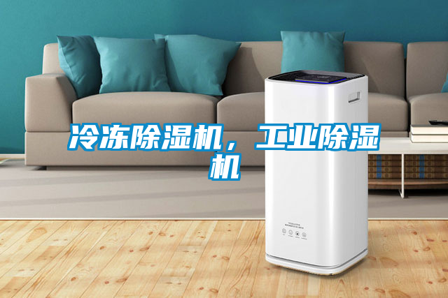 冷凍除濕機，工業(yè)除濕機