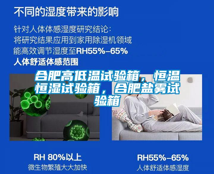 合肥高低溫試驗(yàn)箱，恒溫恒濕試驗(yàn)箱，合肥鹽霧試驗(yàn)箱