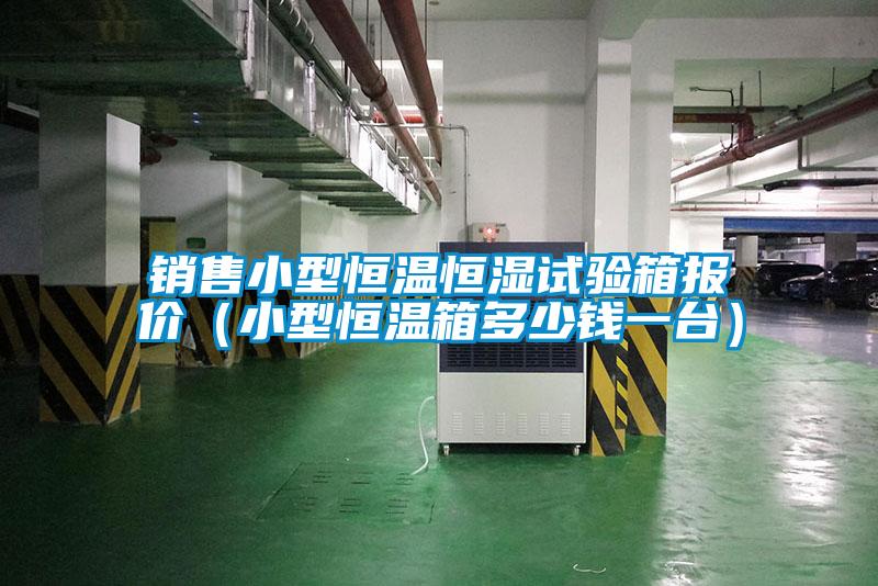 銷售小型恒溫恒濕試驗(yàn)箱報(bào)價(jià)（小型恒溫箱多少錢(qián)一臺(tái)）