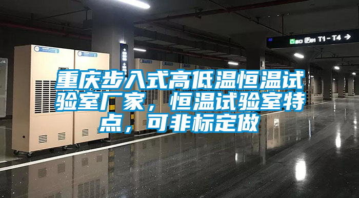 重慶步入式高低溫恒溫試驗(yàn)室廠家，恒溫試驗(yàn)室特點(diǎn)，可非標(biāo)定做