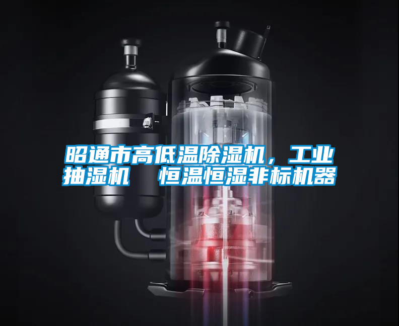昭通市高低溫除濕機(jī)，工業(yè)抽濕機(jī)  恒溫恒濕非標(biāo)機(jī)器