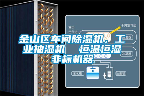 金山區(qū)車間除濕機(jī)，工業(yè)抽濕機(jī)  恒溫恒濕非標(biāo)機(jī)器