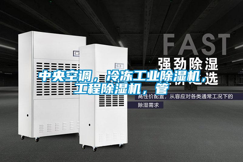 中央空調，冷凍工業(yè)除濕機，工程除濕機，管