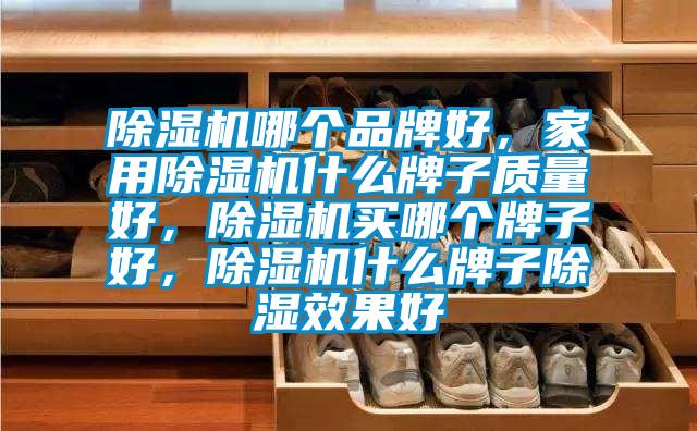 除濕機哪個品牌好，家用除濕機什么牌子質(zhì)量好，除濕機買哪個牌子好，除濕機什么牌子除濕效果好