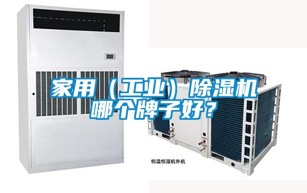 家用（工業(yè)）除濕機哪個牌子好？